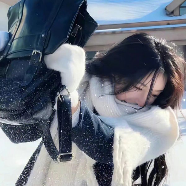 鬼马狐狸蛊惑狗